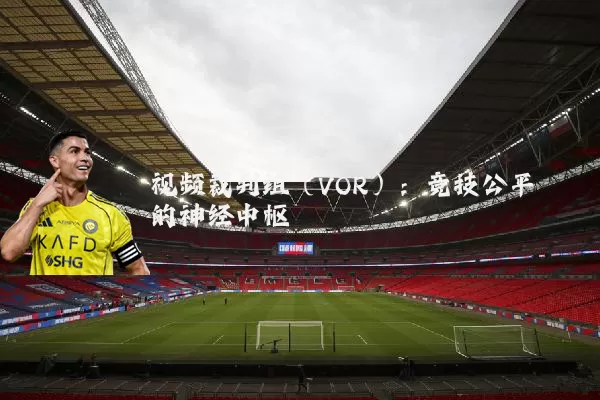 视频裁判组(VOR):竞技公平的神经中枢